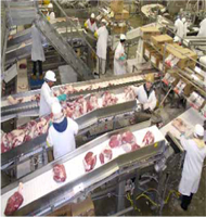 食肉加工業4